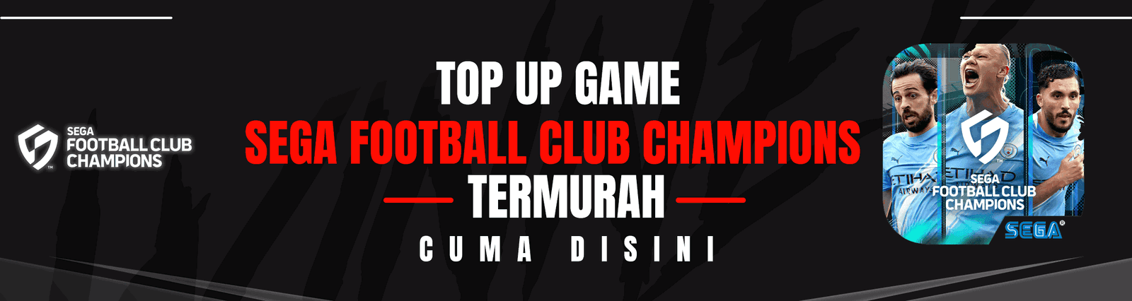 Sega Football Club Champions Banner